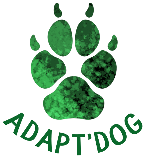 Adapt'Dog