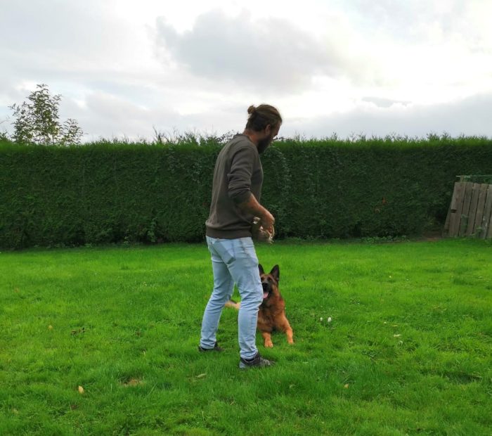Séance individuelle d'éducation canine près de Pont-Audemer